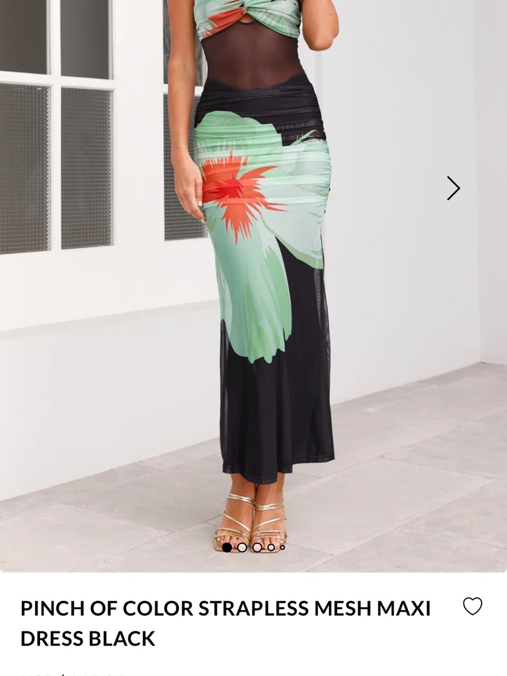 Hello Molly Black Maxi Dress with Green & Red Floral Accent